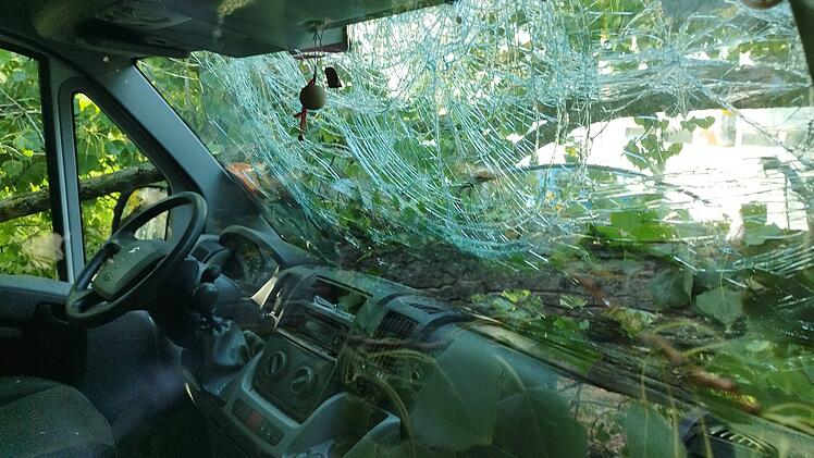 Kulmbach: Entwurzelter Baum kracht auf Bus