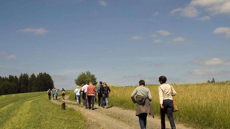 Wandern mit Weitblick auf dem Kammweg von Wellesberg nach Wolfersgr&uuml;n