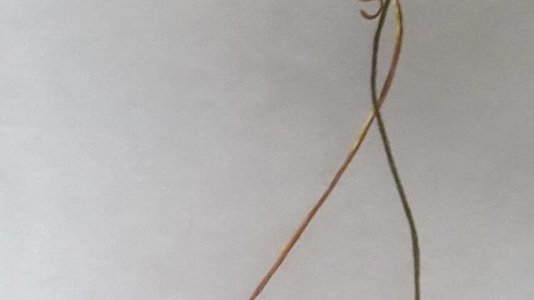 Bild von Monika Huther, die Kunst als Ausgleich sieht, um durch die Muse zur Ruhe und Stille zu kommen.Günther Geiling