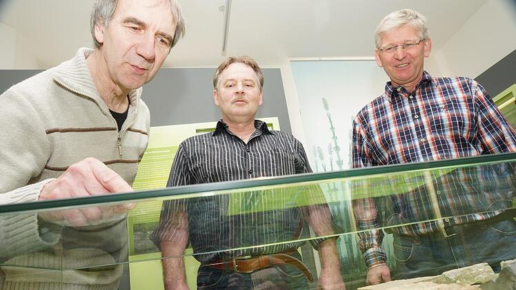 Michael Henz, Jürgen Sell und Bernd Neubig betreuen seit Jahrzehnten die Sammlung Mainfränkische Trias. Dafür erhalten sie zusammen mit Horst Mahler in diesem Jahr den Kulturehrenpreis.