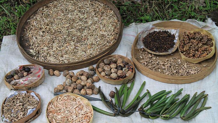 Muss man erst finden: Vanille vom Baum (die grünen Schoten) und den teuersten Kaffee der Welt: Luwak oder Katzenkaffee (rechts oben).