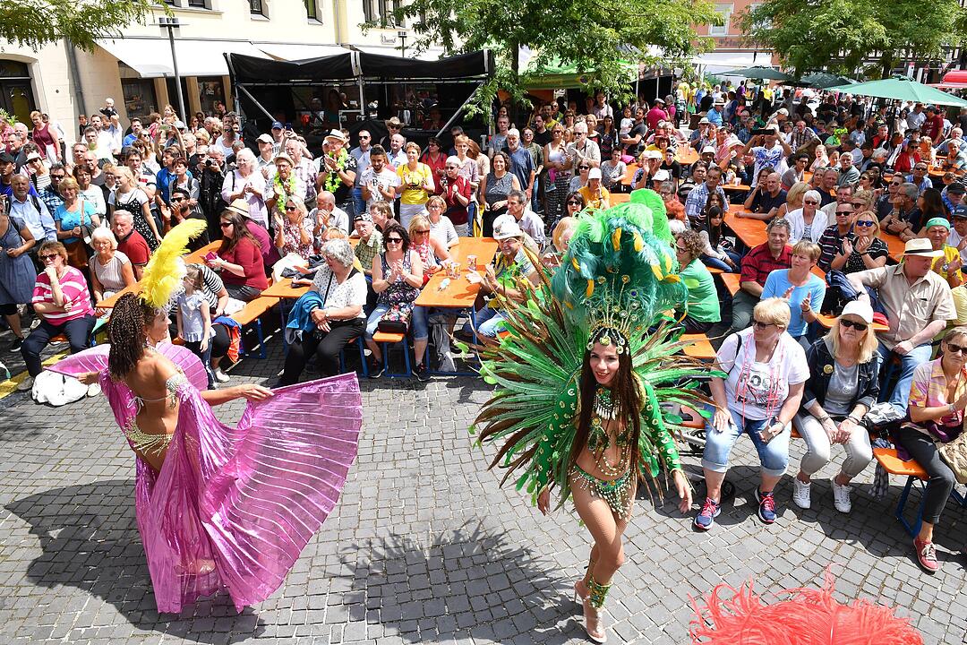 Umzug beim Samba-Festival in Coburg