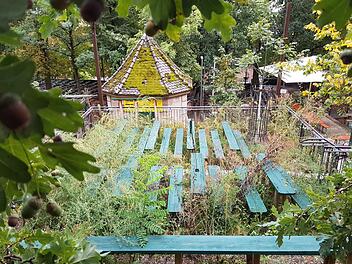 So grün war es auf dem Erich-Keller selten. Wegen der ausgefallenen Bergkirchweih heuer lässt die Stadt Erlangen das Kraut zwischen den Bänken sprießen.  Foto: Christian Bauriedel