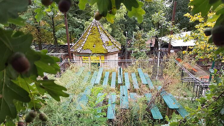 So grün war es auf dem Erich-Keller selten. Wegen der ausgefallenen Bergkirchweih heuer lässt die Stadt Erlangen das Kraut zwischen den Bänken sprießen.  Foto: Christian Bauriedel