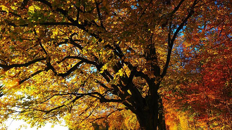 Wetter in Franken: Ein Hoch beschert uns trockenes Wetter