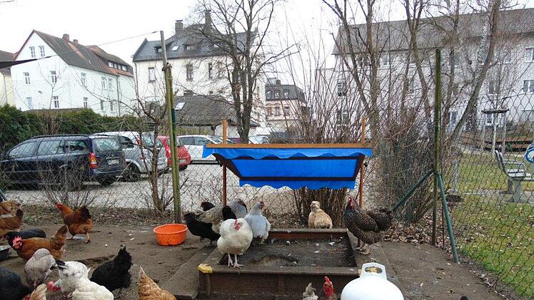 Foto: Petra Malbrich