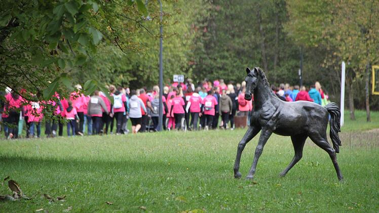 Die Strecke führt über 7,7 Kilometer durchs malerische Sinntal. Foto: Ulrike Müller