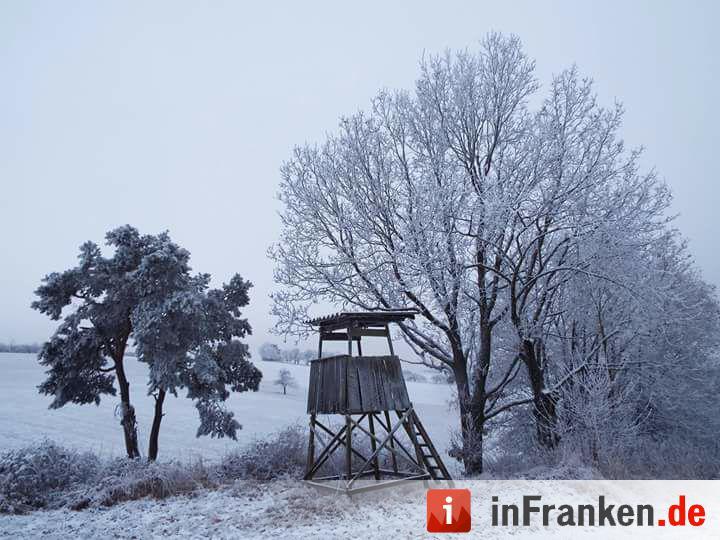 Eis und Schnee in Franken - die schönsten Winterleserfotos