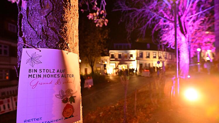 Bamberg: Großer Andrang bei Protestfest - "starke und einstimmige Demonstration"