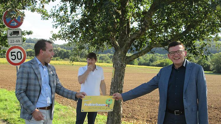 "Mich darf man pflücken". Wo die gelbe Banderole einen Baum ziert, darf man hinlangen. Über das gelungene Projekt freuen (v. l.) René Gerner, Holger Becker, und Armin Warmuth. Winfried Ehling