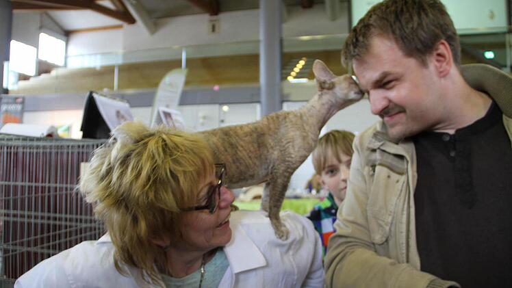Die Edelkatze Devon Rex der niederländischen Züchterin Adrie Jousma van Gils (li.) kennt keine Berührungsängste.