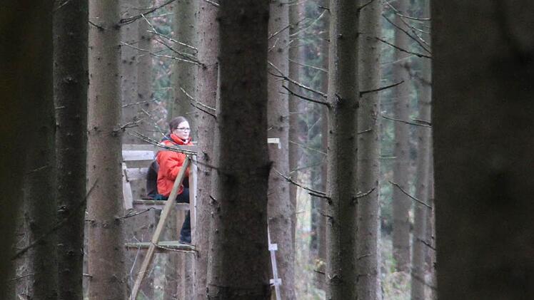 Dann heißt es: warten.