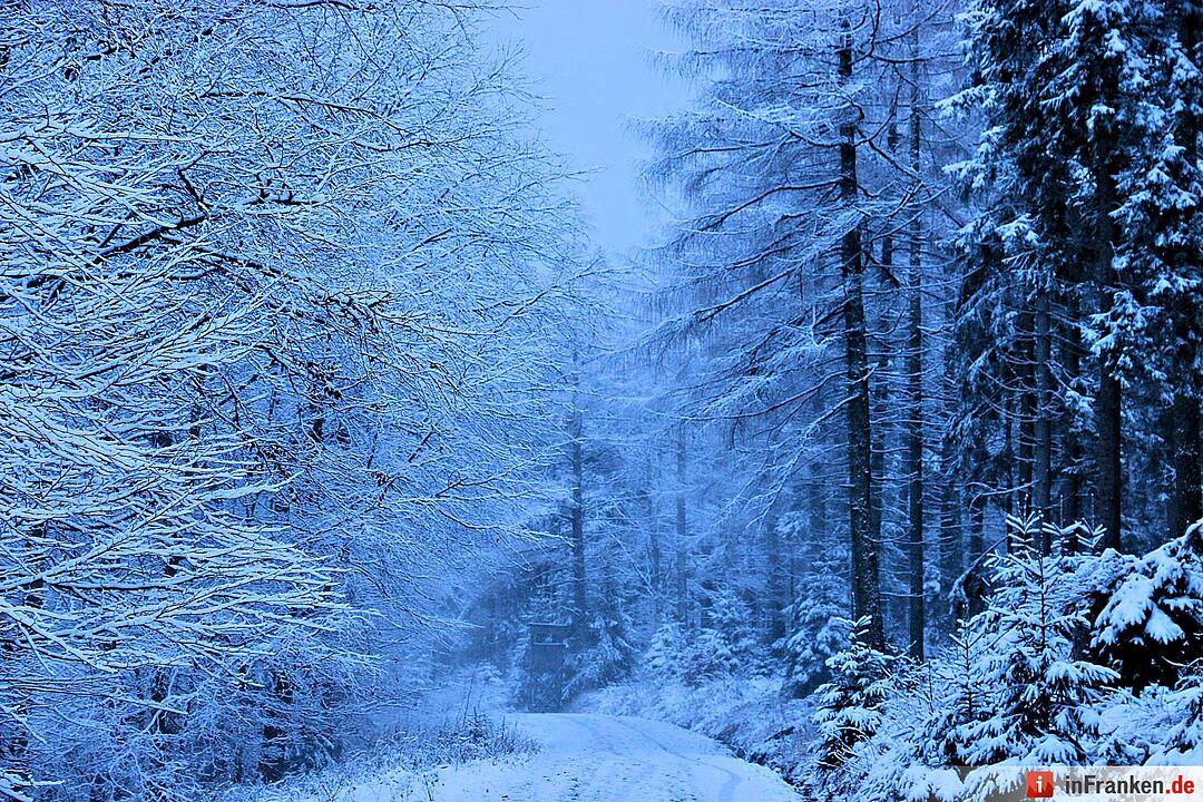 Schnee im Fichtelgebirge