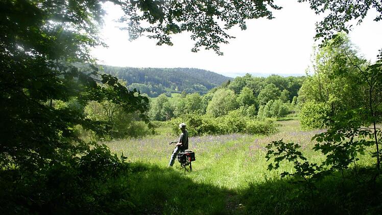 Die Keltenwanderwege lassen sich auch mit dem Fahrrad erkunden; das Bild entstand unweit der Küpser Linde. Foto: Matthias Einwag