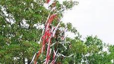 Der Baum kündet von der Kerwa am Kellerberg.  Foto: Tina Meier