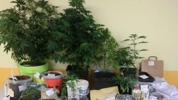 In Ludwigsstadt gefundene Betäubungsmittel und -utensilien Foto: Polizei