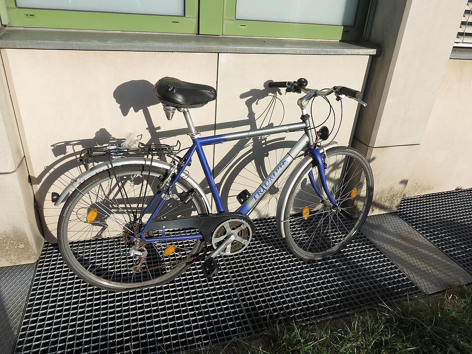 Fahrräder auf der Erba-Insel gefunden: Polizei sucht Besitzer