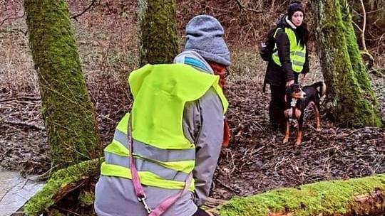 Die Helfer durchk&auml;mmten auf der Suche nach Merle unwegsames Gel&auml;nde.