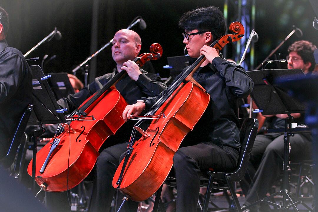 Amadeus Rockt &ndash; Das Jubil&auml;umskonzert