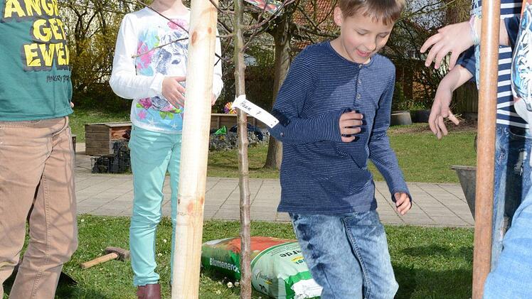 Impressionen vom Obstbaum-Pflanztag an der Grundschule Melkendorf  Foto: Dagmar Besand