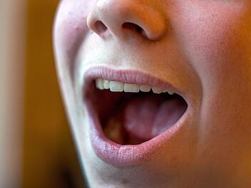 Archiv/Jens B&uuml;ttner, dpa