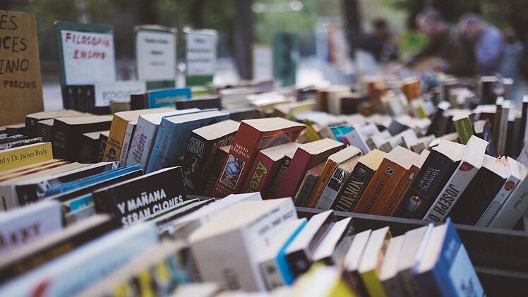 Die Qual der Wahl. Die Auswahl an Büchern ist immens.