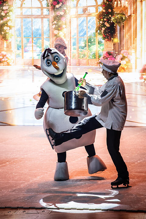 Märchenhafte Magie für alle Elsa, Anna und Olaf Fans!