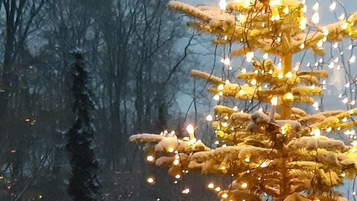 Dieser pr&auml;chtige Weihnachtsbaum in Stockheim kann sich sehen lassen.