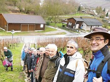Die "Weihnachtsmänner" beim Aufstieg von Escherndorf auf die Vogelsburg. Foto: Michael Kübert
