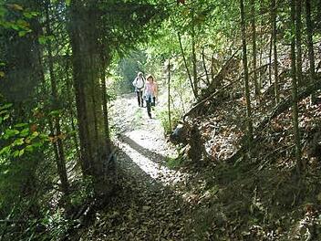Märchenhafte Pfade im Banzer Wald Fotos: Werner Freitag