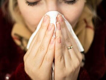 Bisher wurden im Kreis Kulmbach nur rund halb so viele Grippe-Erkrankungen  gemeldet wie im vorherigen Jahr.Symbolbild/ IG BAU