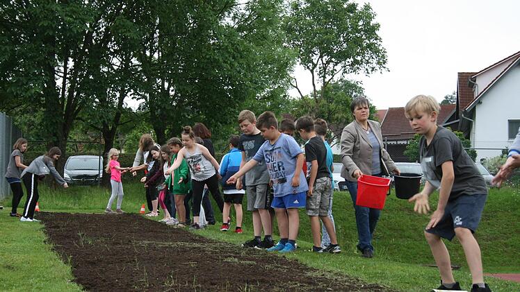Die Drittklässler der  Grundschule Premich tun viel für die Insekten. Jetzt haben sie einen 20 Meter langen Blühstreifen angesät, quasi einen Esstisch für die Bienen. Foto: Gabriele Sell