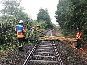 Dieser Baum blockierte die Bahnstrecke der Gräfenberg-Bahn. Fotos: Sven Menger, Feuerwehr Heroldsberg