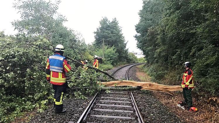 Dieser Baum blockierte die Bahnstrecke der Gräfenberg-Bahn. Fotos: Sven Menger, Feuerwehr Heroldsberg
