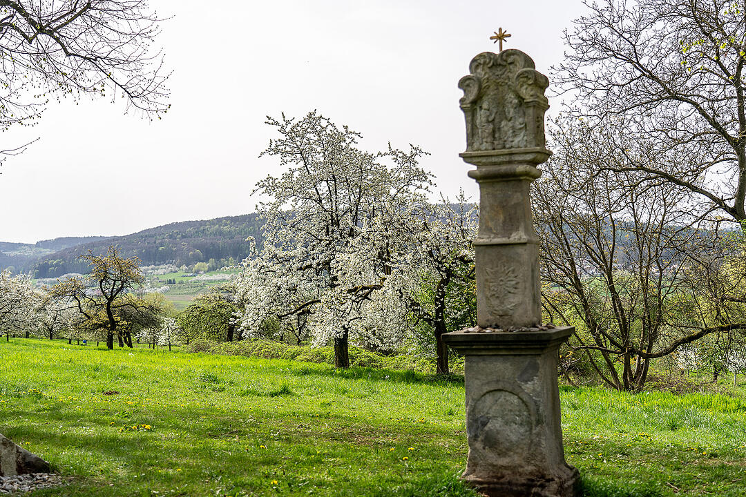 Unterwegs auf dem Kirschenweg.
