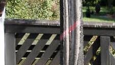 Bäume, die gefällt werden müssen, sind  schon  markiert. Foto: hak