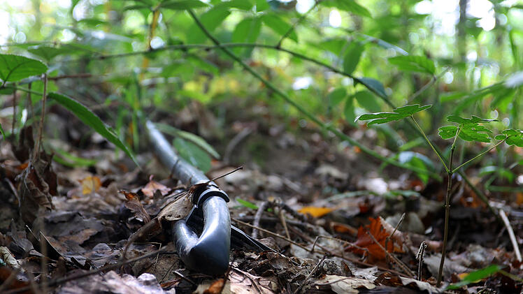 Rottendorf: Tr&ouml;pfchenbew&auml;sserung im Wald gegen Trockenheit? Erste Erkenntnisse aus Pilotprojekt
