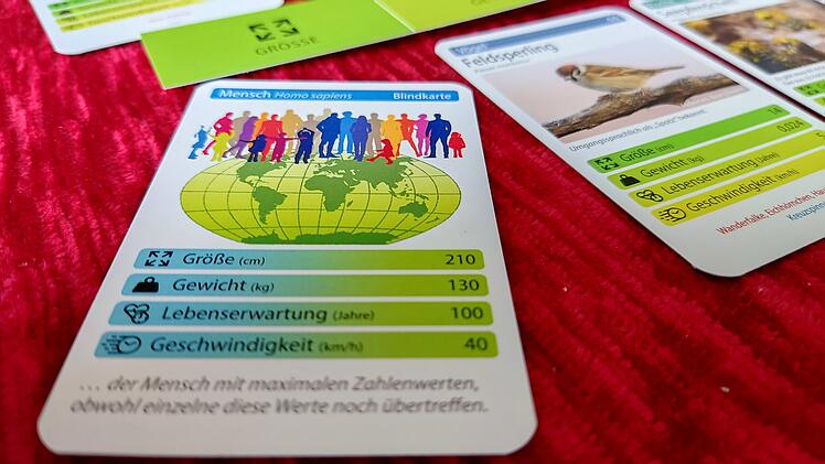 Tiere toppen im Test - geniales Kartenspiel rund um Tierfakten