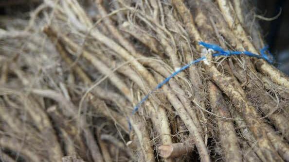 Foto: Heike Reinersmann