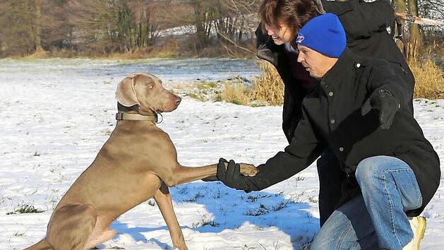 Milow, der Hund von Thomas Wolff und D&ouml;rte Krummrei, gibt Pf&ouml;tchen. Foto: Barbara Herbst