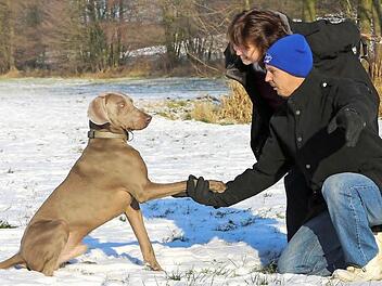 Milow, der Hund von Thomas Wolff und Dörte Krummrei, gibt Pfötchen. Foto: Barbara Herbst