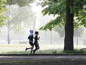 Aufwertung von N&uuml;rnberger Gr&uuml;nanlage f&uuml;r bessere Aufenthaltsqualit&auml;t