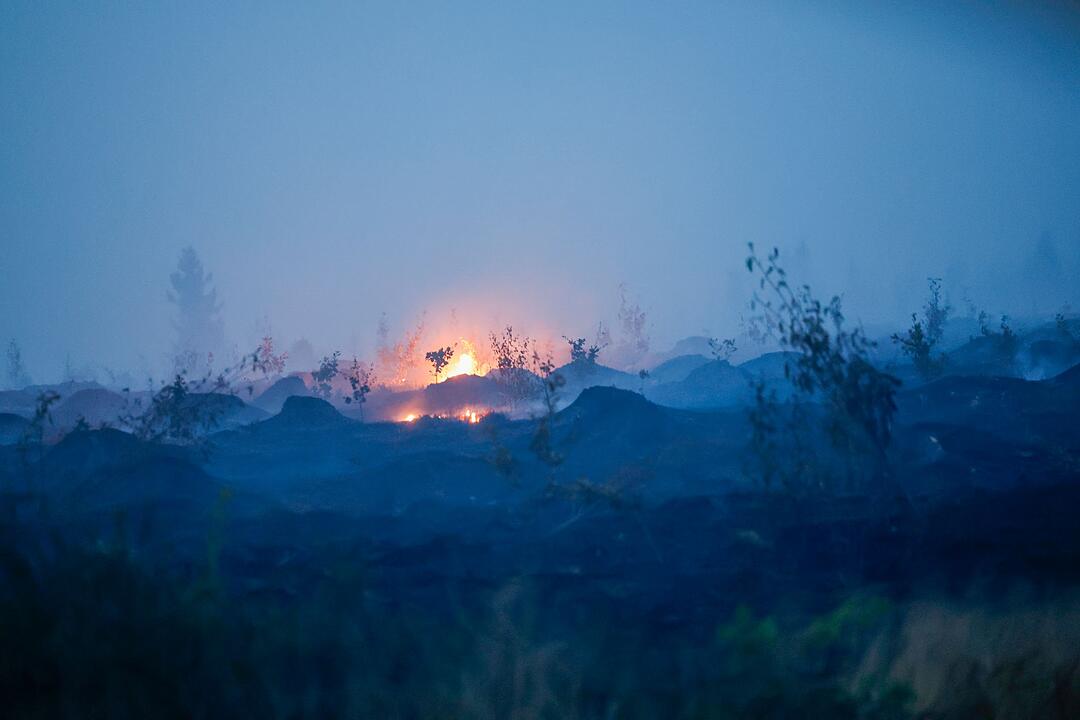 Waldbrand in Belgien