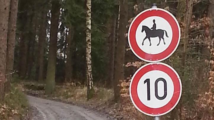 Die Pferde wühlen mit ihren Hufen die Wege auf.  Foto: privat