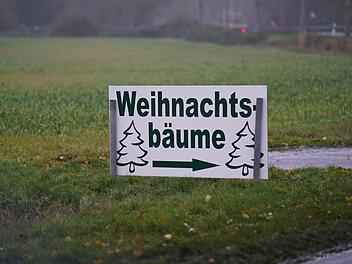 Massenhaft Weihnachtsbäume im Kreis Bamberg geklaut - wer hat etwas gesehen? Massenhaft Weihnachtsbäume im Kreis Bamberg geklaut - wer hat etwas gesehen?
