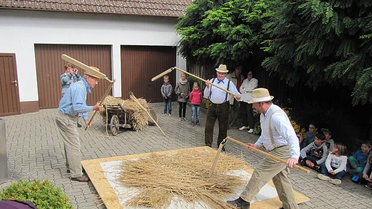 Dreschvorführung der Museumsfreunde aus Fuchsstadt  Foto: Martin Muth