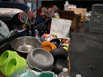 Waldbr&auml;nde in Frankreich