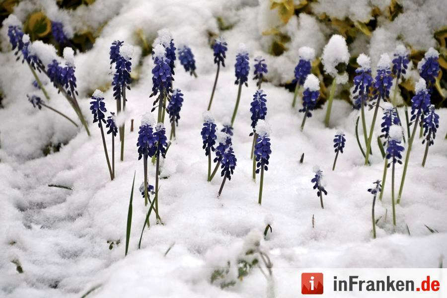 Franken: Ostermontag versinkt im Schnee