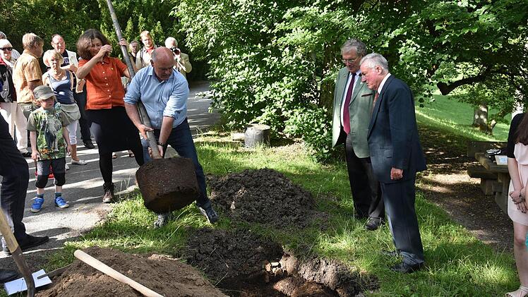Der junge Lindenbaum wird ins Pflanzloch versenkt. Foto: Gabi Arnold