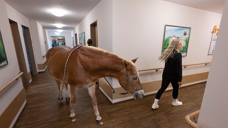 Mit dem Pferd ins Altenheim
